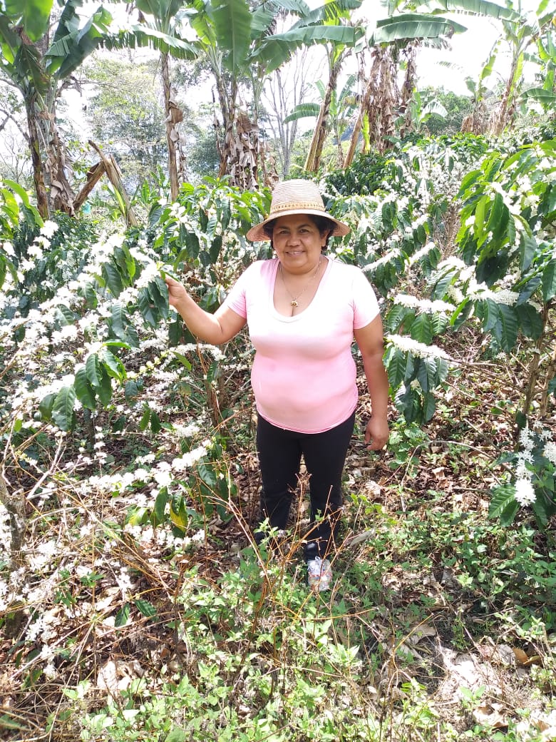 Mujer campesina entre flores de café